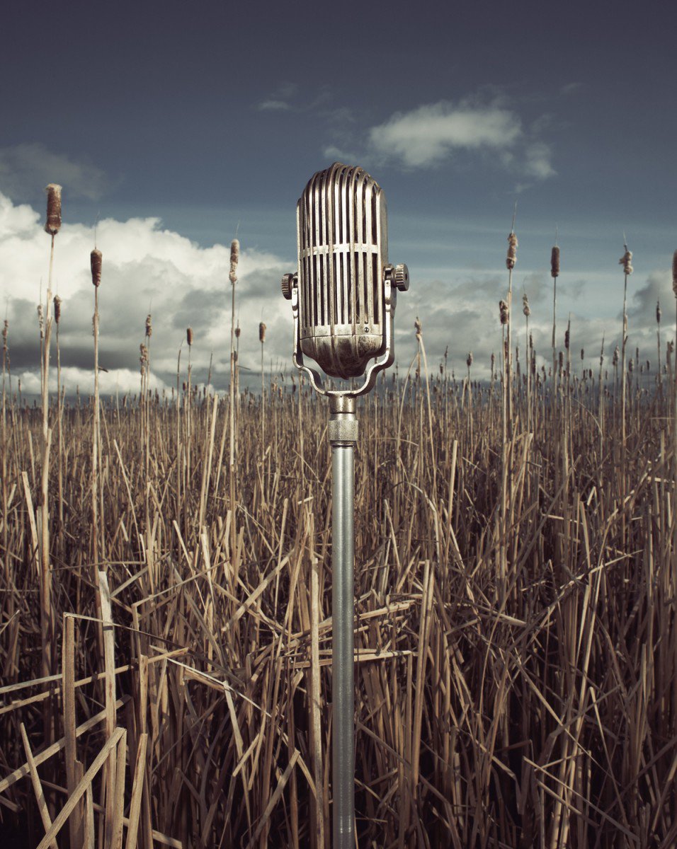 RoyalBCMuseum's tweet image. Have We Got a Story to Tell TONIGHT at @RoyalBCMuseum: royalbcmuseum.bc.ca/events/have-we…