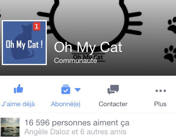 Déjà 16 000 like sur facebook , merci beaucoup !#fancats #like #chats a vous d'en faire autant sur Twitter !❤️