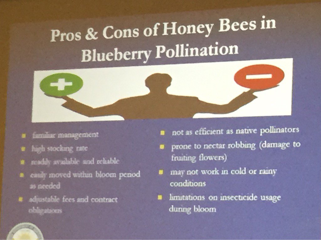 KellyGarbach's tweet photo. Honeybee pros & cons w Jeanette Klopchin: cons include HBs are not as efficient as native pollinators. #projecticp https://t.co/45Bl0lBBlV