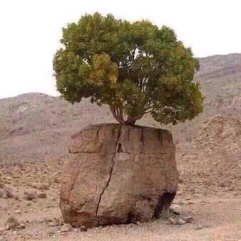qr_070's tweet photo. قل للفقير اللي زمانه ماعطاه
إصبر على جور الليالي والسنين
اللي رزق هاذي وهي فوق الحصاه
قادر على رزق العباد الصابرين☝️ https://t.co/y25TZQTVJ5