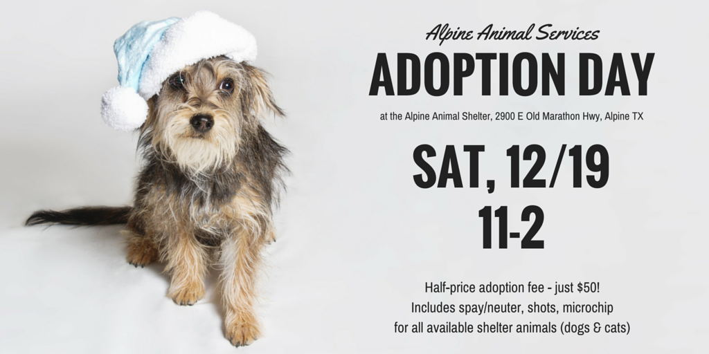 AlpineHumane's tweet image. Adoption Day at the Alpine TX shelter! Sat 12/19. 50% off adoption fees for cats &amp;amp; dogs. #adoptdontshop