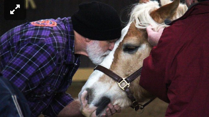 #HoovesForHeroes pairs veterans with horses richlandsource.com/news/hooves-fo… #ohiovets