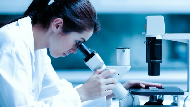 CFarmaceutico's tweet photo. La #diabetes tipo 2 podría invertirse mediante la pérdida de grasa del páncreas https://t.co/IErsspN13W https://t.co/3vSxCeHwug