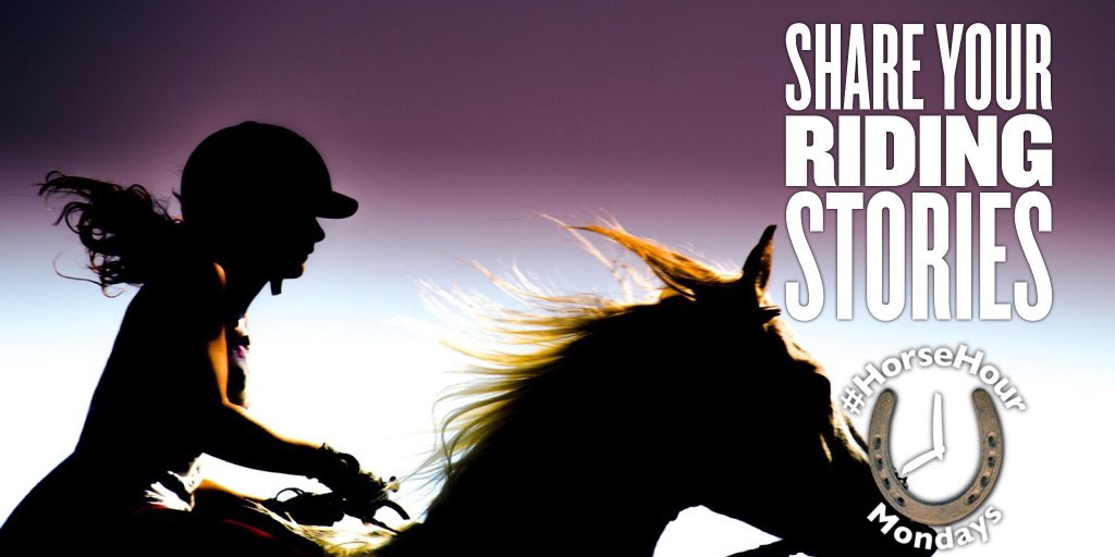HorseHour's tweet photo. Share your equestrian life with friends you haven't met across the world at #HorseHour on Twitter! Mondays 8pm GMT https://t.co/7gGb0bA8Ne