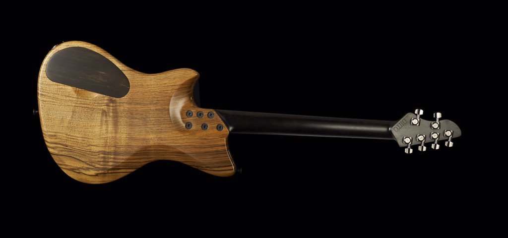 Alpher_i's tweet photo. Pro shots of this @BKPickups solid #ebony #neck #custom #handmade #guitar #walnut #thinline #music #band #tone #wood https://t.co/NKCkzbz1Ey