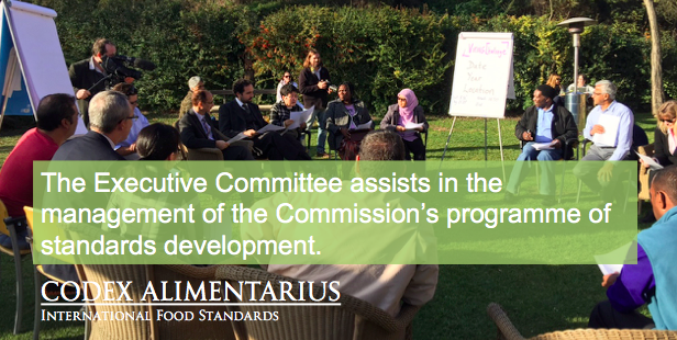 FAOWHOCodex's tweet photo. #CCEXEC workshop continues today in Rome https://t.co/TDjHDDHKXl