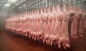 Eatosophy's tweet photo. Industrial farming is one of the worst crimes in history https://t.co/kwfqTTrsDs https://t.co/FmY9UN0KoK