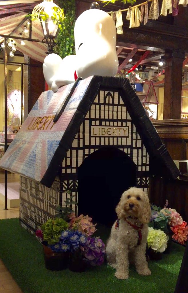 supercooperdawg's tweet photo. Down @LibertyLondon &amp; found the PERFECT pressie...a home just like my favourite shop for @ITVTextSanta &amp; @Snoopy ❤️😍 https://t.co/d7hGutpfRy