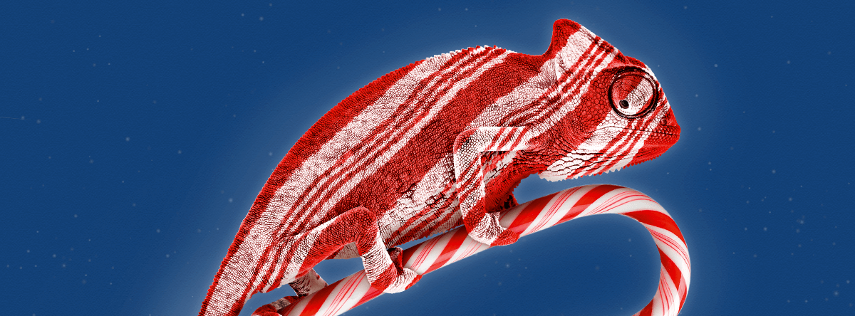 sandiegozoo's tweet photo. 10 days... #JungleBells https://t.co/cBOZ6liI1U