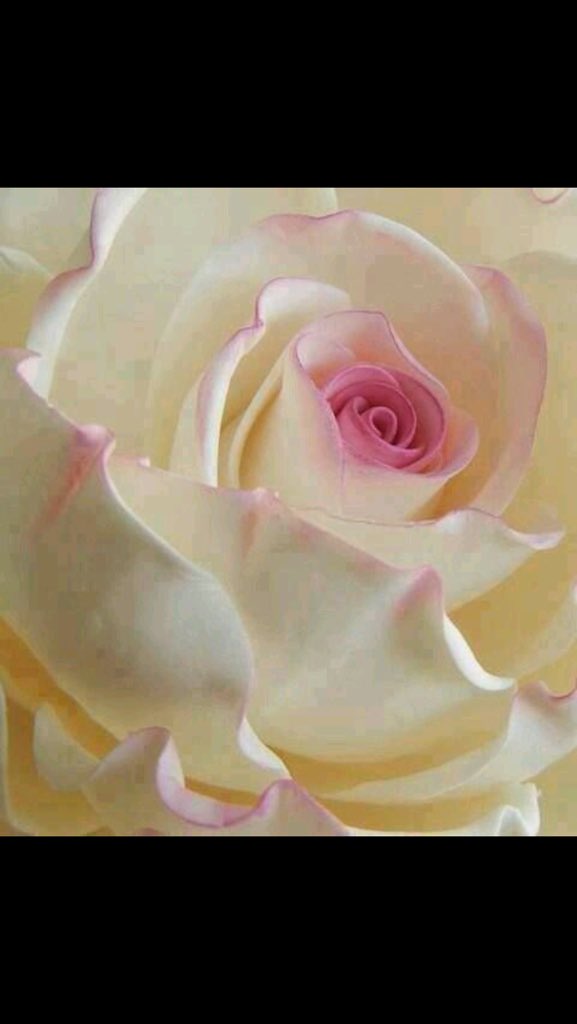 Adonis12015's tweet photo. @MohmmadFade https://t.co/Lxj13DsKsa