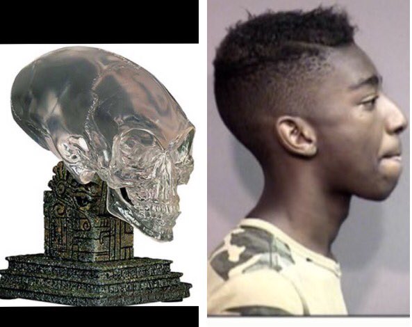 nickorazio's tweet photo. Dude looks like the crystal skull https://t.co/qZGJHybWWx