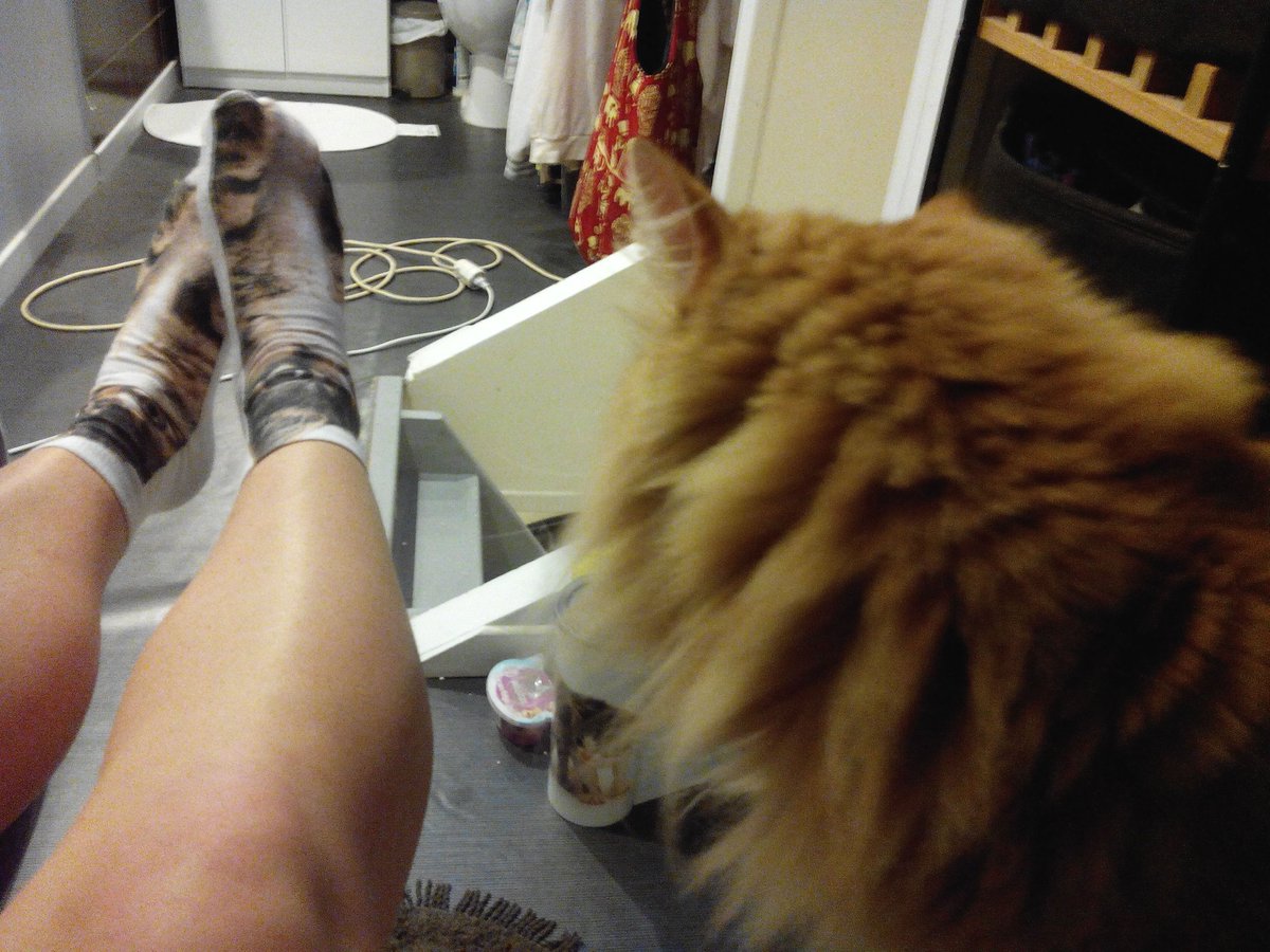 memoryof2morrow's tweet photo. @EmilyBett my view from the bathtub #VFTBt Cat socks and a guest appearance from my cat 😺 https://t.co/n7k9q0u6XD