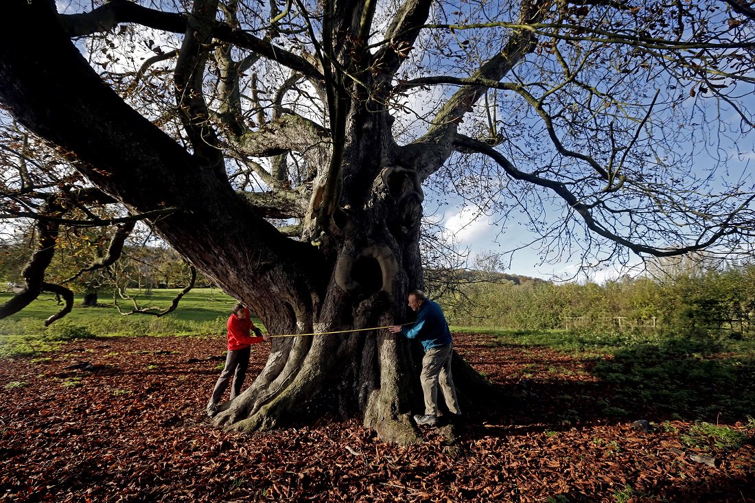 Embedded image permalink