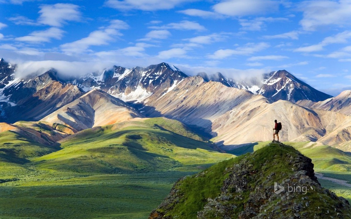 places_of_earth's tweet image. Denali National Park, Alaska 😍🌄
