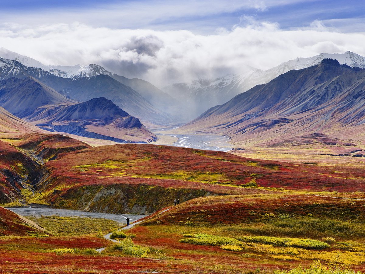 places_of_earth's tweet image. Denali National Park, Alaska 😍🌄
