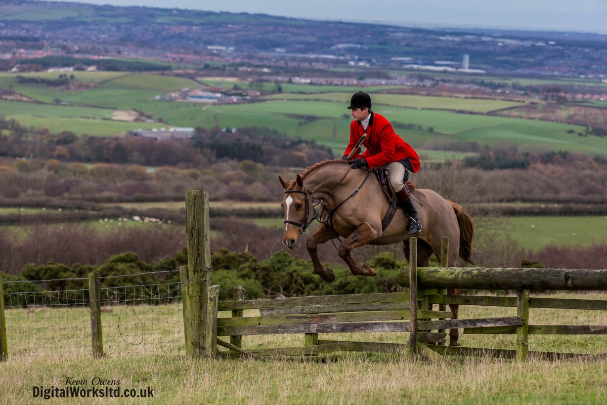 Gsxr1000UKKO's tweet photo. Braes of Derwent @CAupdates @horseandhound @keephunting_ @bailyshunting @HoundsPlease #hunting #ryanmania https://t.co/mvoLyjwCnR