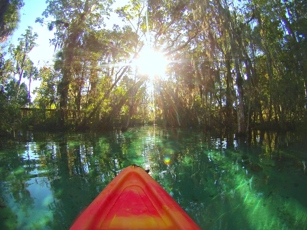 IndefTravel's tweet image. #travelstops in Crystal Springs #florida ow.ly/Vk9ie