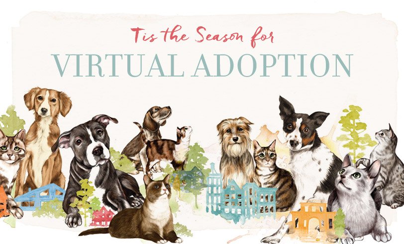 'Tis The Season For Virtual Adoption! On <a href="/HuffPostBlog/">HuffPost Contributor</a> today! #DoUntoAnimals huffingtonpost.com/tracey-stewart…