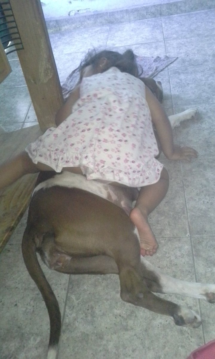 linalugano's tweet photo. Esto es amor #AmoMiPitbull https://t.co/89CBCkCBPA
