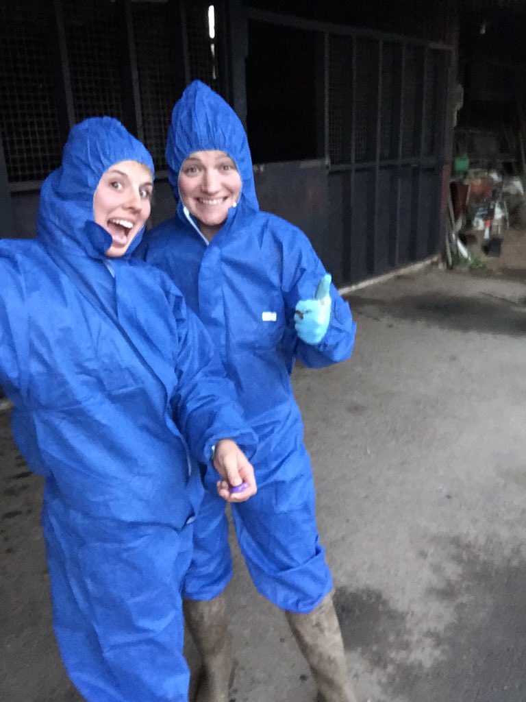 Holly_Eckley1's tweet photo. Me & @AlicePearson11 modelling the new 'Pearson Eventing' uniform!! #sosexy #creosoting #offseasonjobs 👯 https://t.co/NsBI0BUPfS