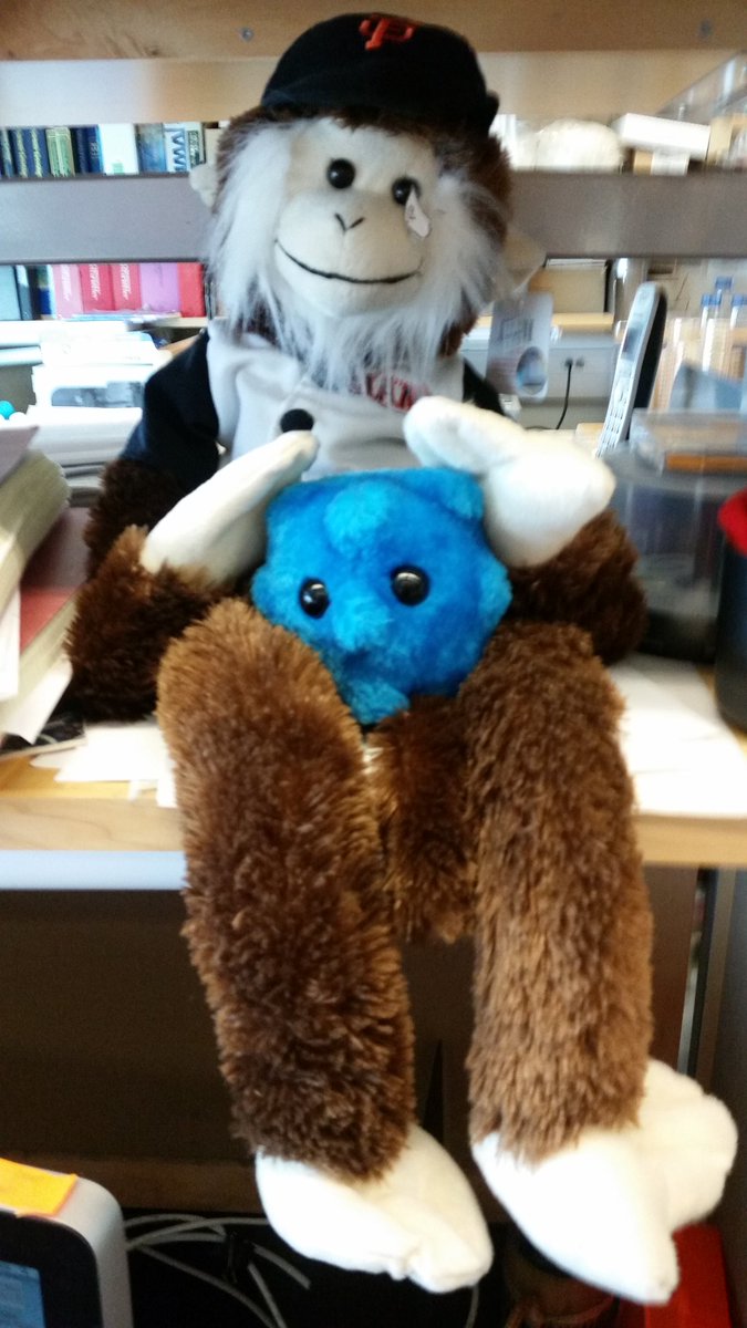 micro_clopez's tweet photo. @JasonPMooney Look who caught a cold! #MischievousMonkey https://t.co/OZOmHgSrr8
