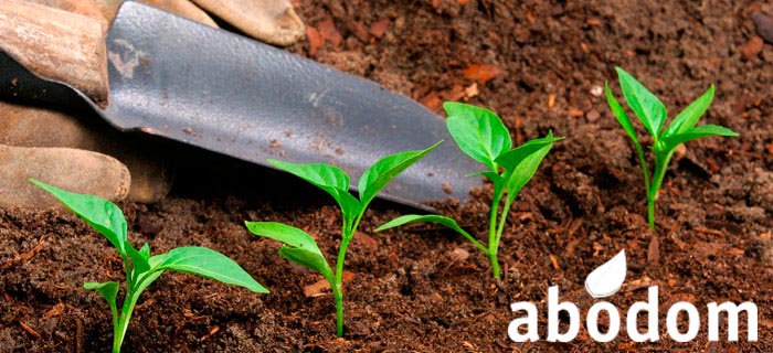 abodomrd's tweet photo. Nosotros te ofrecemos una gran variedad de fertilizantes con calidad para tus plantaciones #Abodom https://t.co/iGLeyLWVPG