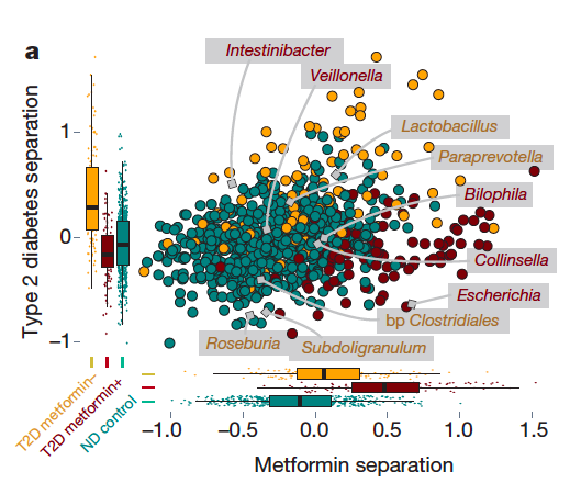 RT <a href="/EricTopol/">Eric Topol</a> cc <a href="/rodrigoc_90/">Rodrigo M. Carrillo Larco</a> 

#Metformin alters the gut #microbiome in diabetics bit.ly/1RneCog <a href="/Nature/">nature</a>