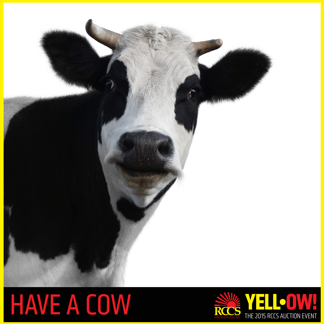 RCCScancer's tweet photo. The auction is tomorrow! Pick your own cow & have it packed to your standards. https://t.co/DtHvlUyPEN #RCCSauction https://t.co/CdsTR6j6tQ