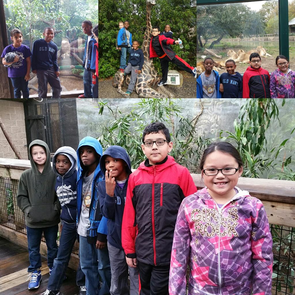 MRE Third Grade tweet media