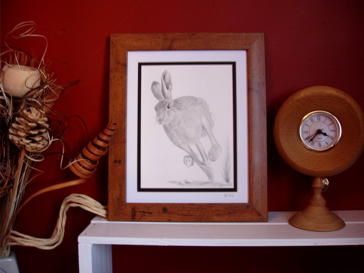 RikSaggers's tweet photo. #Hare catch it if you can :D #Art #wildlife #gift #HareLovers #HareArt https://t.co/iSLpoljYKN https://t.co/IepGAWsVtu