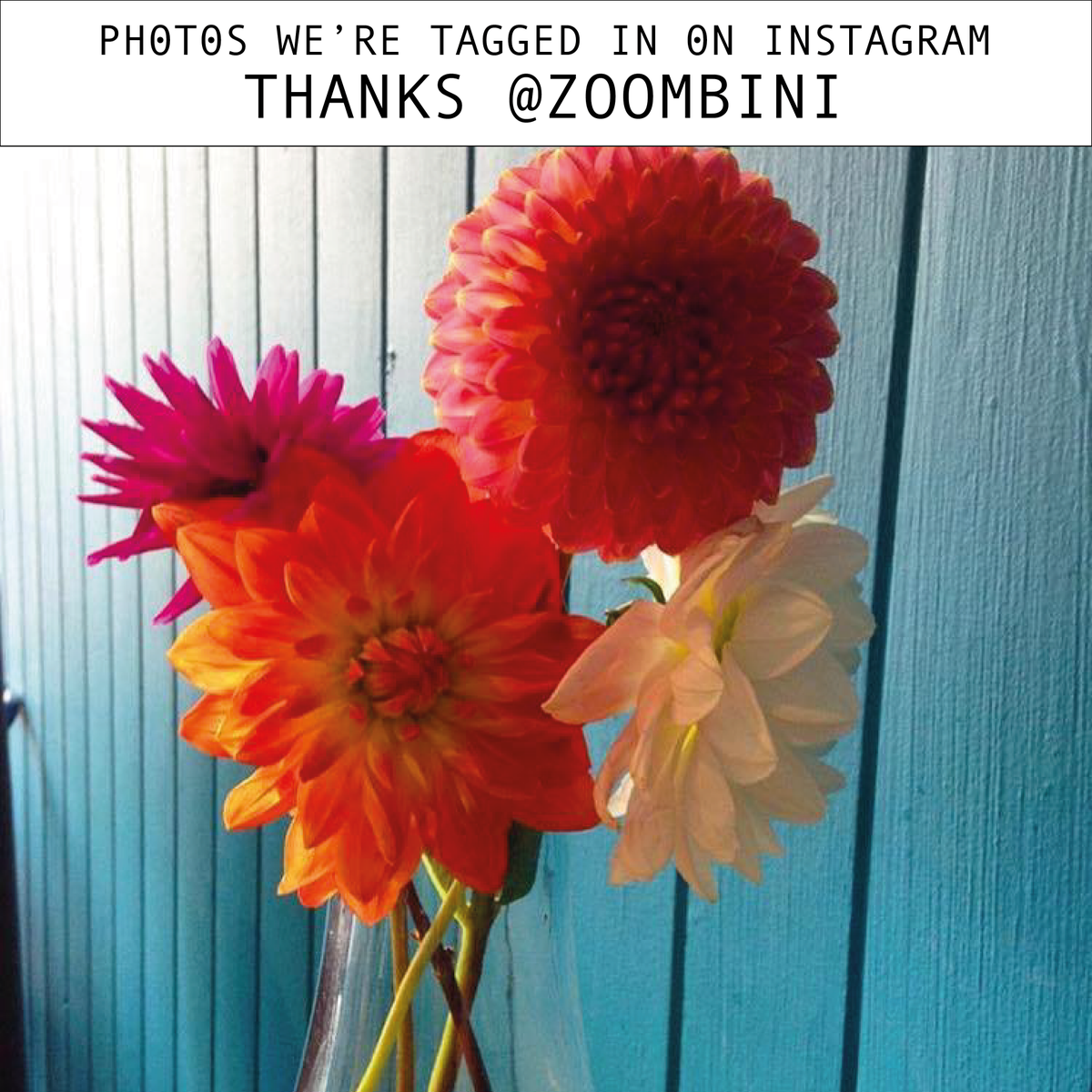 Good_Vibes_Cafe's tweet photo. #goodvibescafe #falmouth #cornwall #cafeincornwall #tastey #foodanddrink https://t.co/acocNCaU80