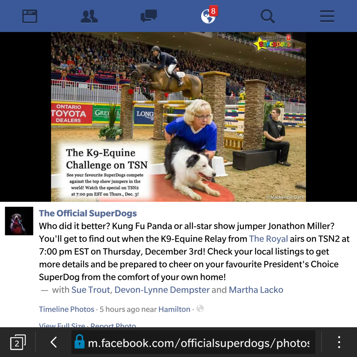 BallardKyla's tweet photo. #mysuperdog #tsn2 #dogandhorserelay #jonathanmiller #captaincanada #bordercollie #showjumping SO excited for this!! https://t.co/HolmPu3Ls7