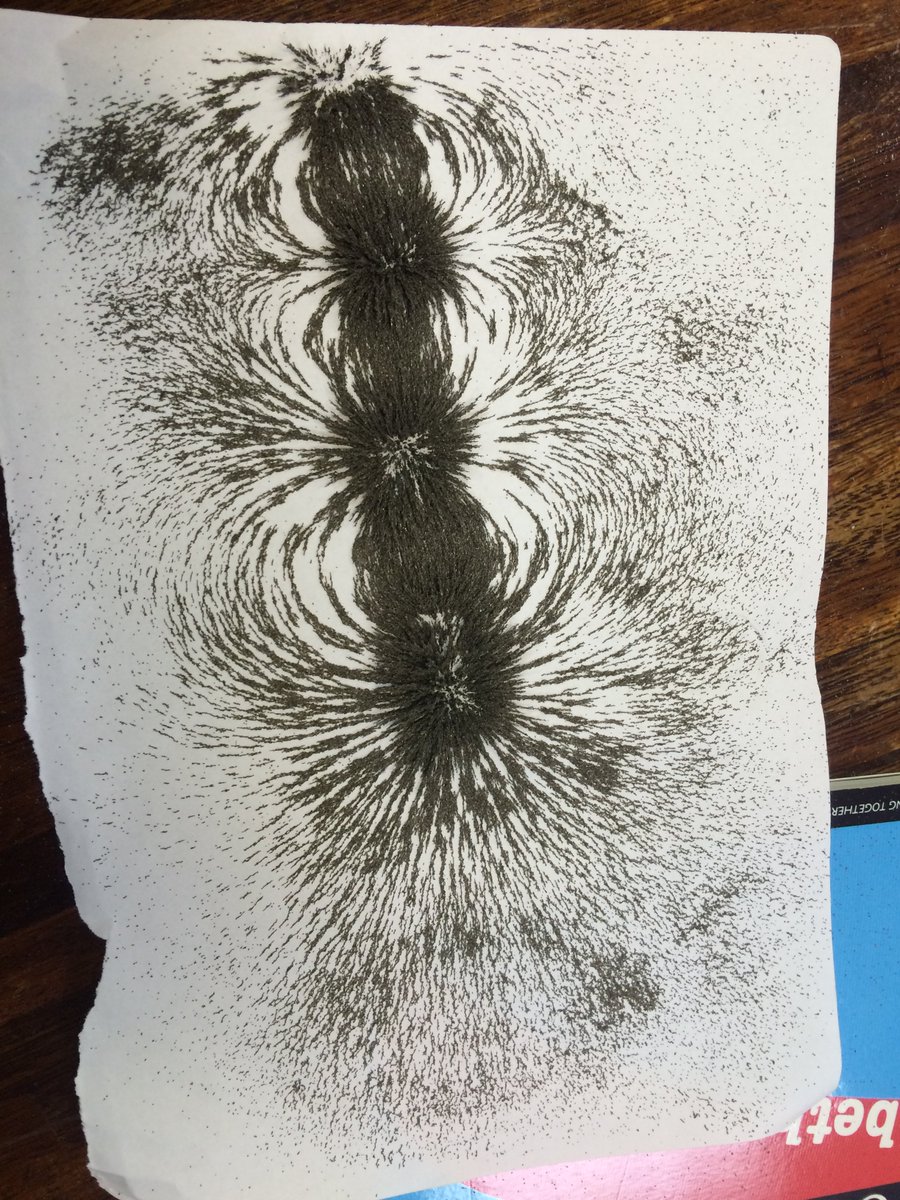 Bennett_Physics's tweet image. Year 11 - Looking at magnetic fields after completing their unit 2 trial exam. #funwithmagnets #keeplearning