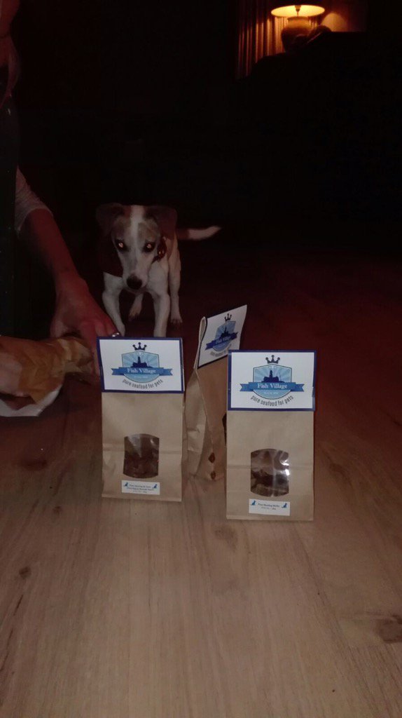 LisaRomkes's tweet photo. "@riekeltbom: Onze boef zijn prijs is binnen van fish village hij vind het heerlijk https://t.co/asYIcxmJKd" @FishVillageUrk