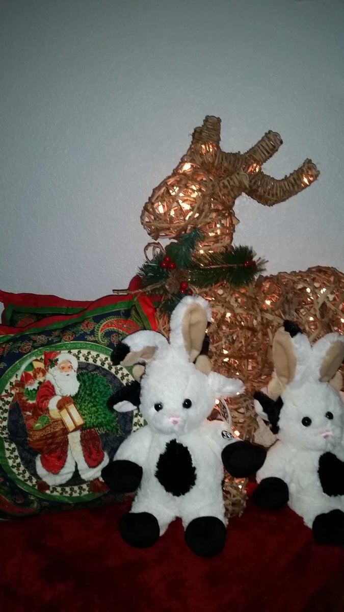 MyCowBunny's tweet photo. 23 days 'till Christmas. Have you bought your CowBunny today? #IWantACowBunny  #christmascountdown https://t.co/xrXQpVh9Ph