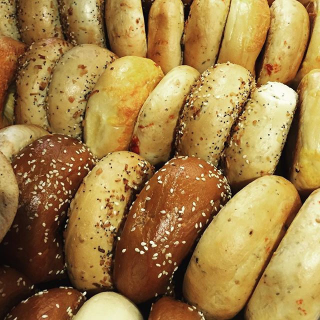 CafeGraceHI's tweet photo. Get One #Free When you buy a Dozen #Bagels. #loxofbagels #cafegracehi https://t.co/kbq03K9vE9