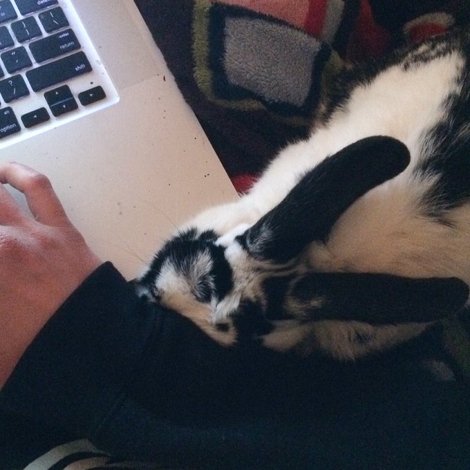 Watch theobanoth's leaked NSFW photo on TwXstars