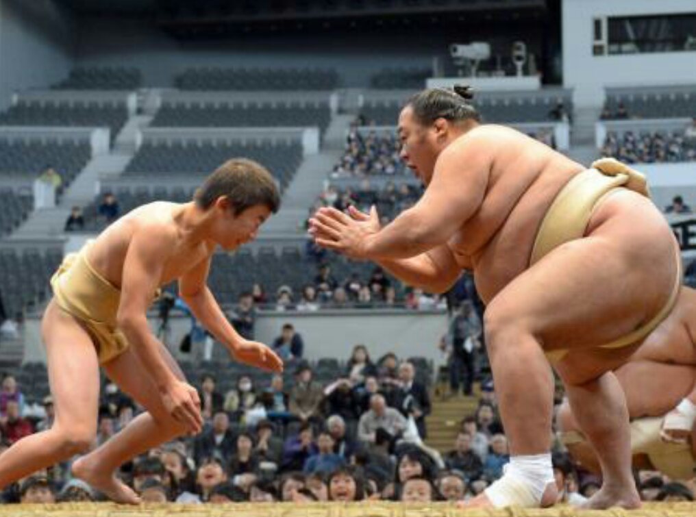 Inhashi Toyonoshima Tries Nekodamashi 大相撲 豊ノ島 ねこだまし 猫騙し T Co Op5uc1dsoo