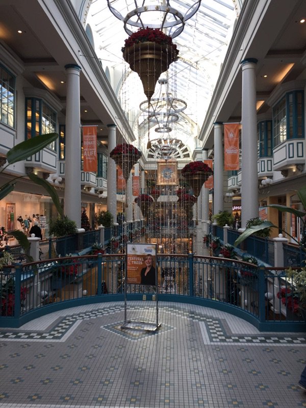 DDAccessVic's tweet photo. Festival Of Trees! Check out the VRBA @VicBuilders for BC Childrens Hospital. #Charity #Vote #Tree24 @TheBayCentre https://t.co/jd6gqsPgBJ