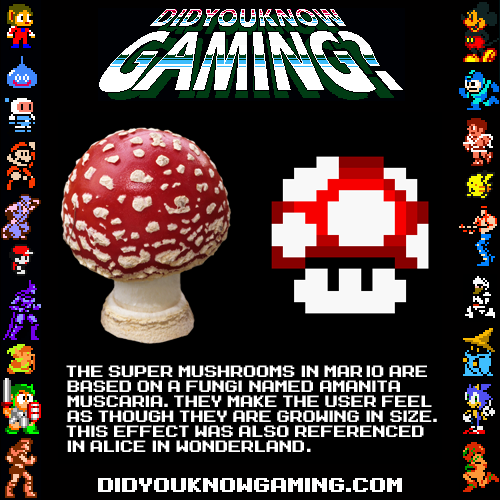Apparently we've got games with 'magic' mushrooms! We also have happy hour until 7p and no cover all night. GAME ON!
