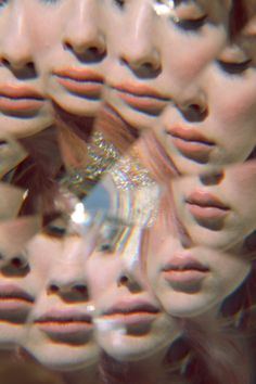 hall_of_mirrors's tweet photo. I'll find where I belong https://t.co/Yfjz10pJnq