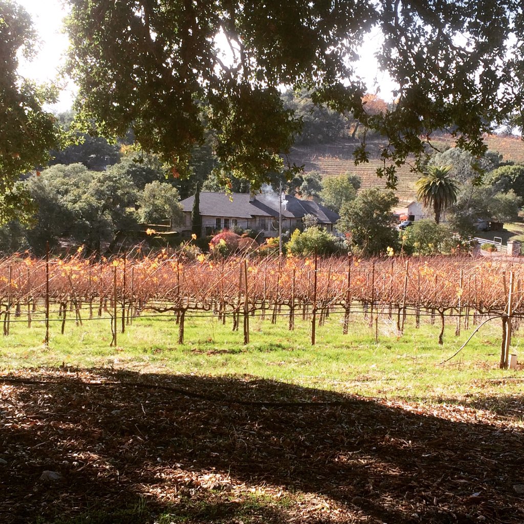 Three30Forty's tweet image. In Napa picking up wine for Friday's opening. Thank you @whiterockcaves for your generous sponsorship!