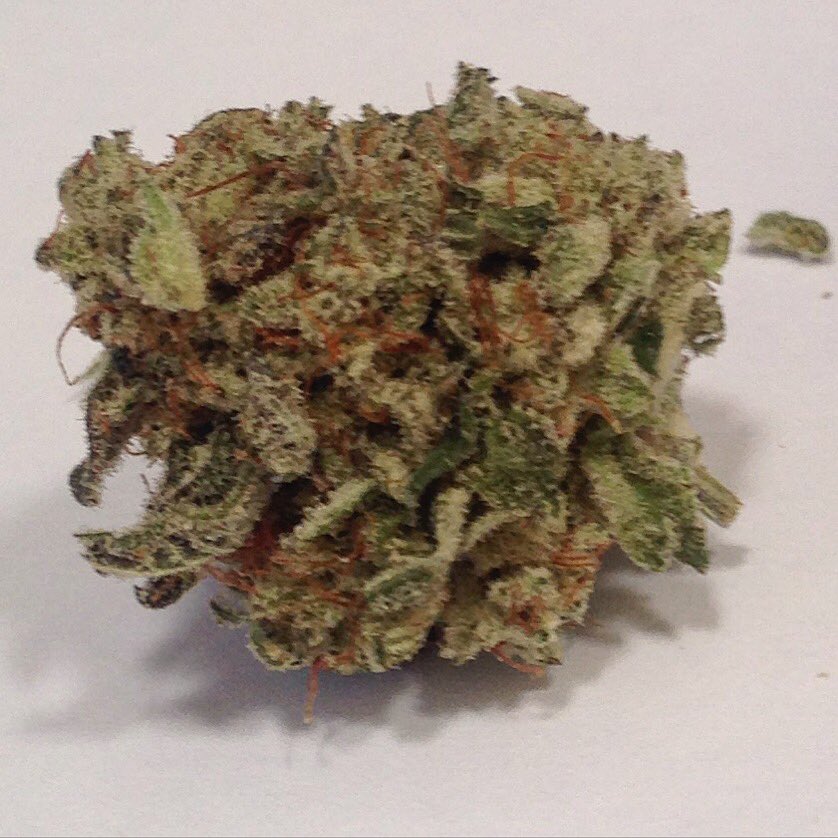 Grower_Direct tweet picture