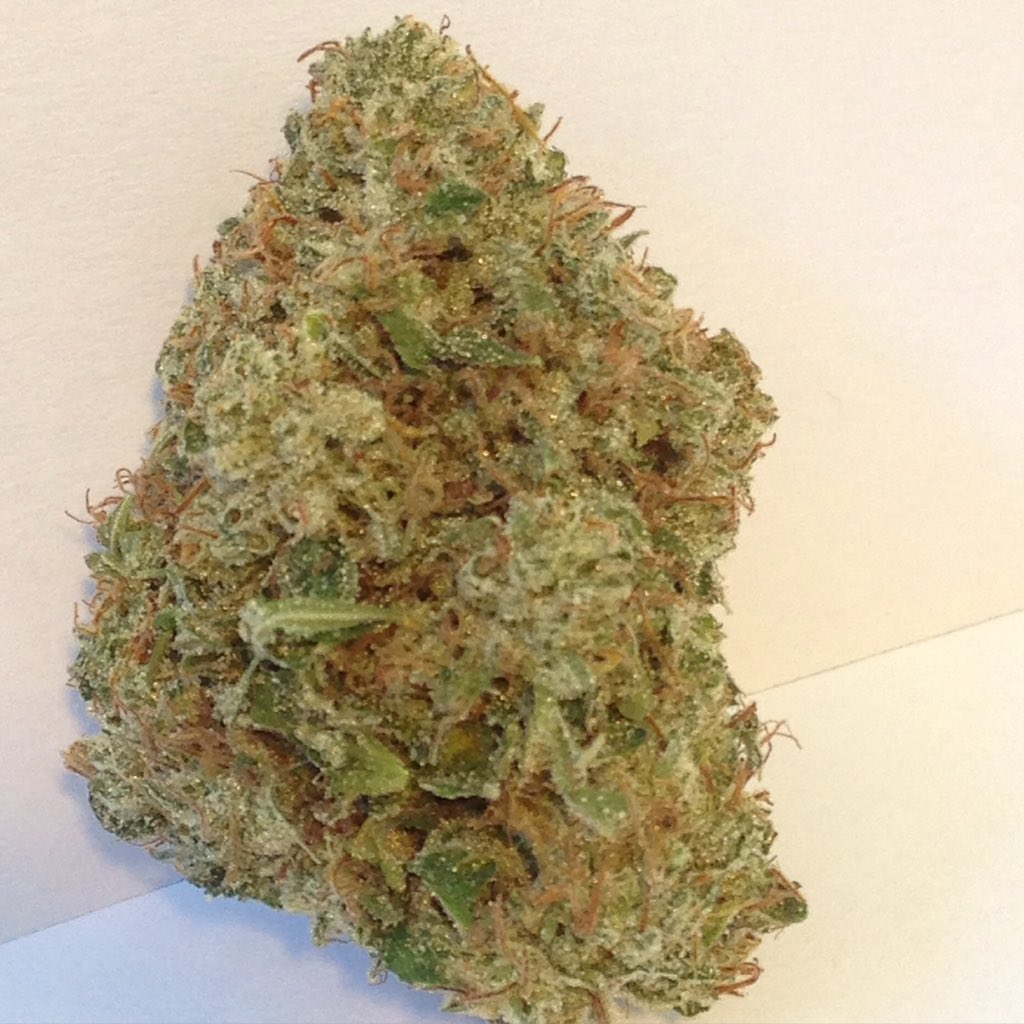 Grower_Direct tweet picture