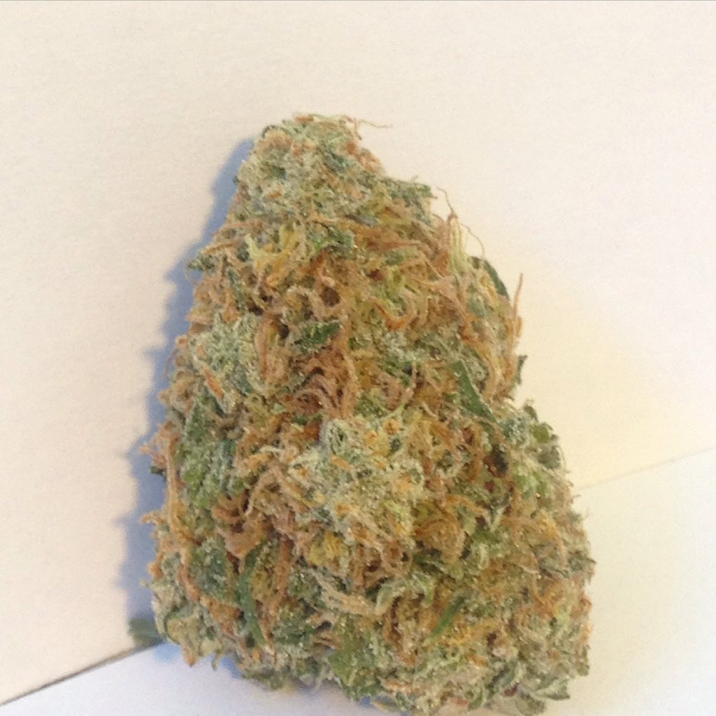 Grower_Direct tweet picture