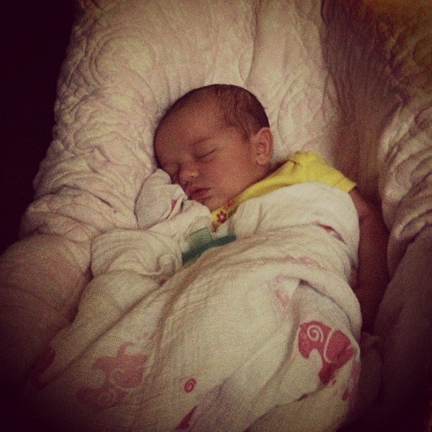 ladybethke's tweet photo. Harper is still being extremely cute though! https://t.co/D6HDmOPtBk