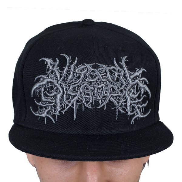 *AVAILABLE IN LIMITED QUANTITIES*
 NEW VD logo embroidered snapbacks
 get them here: 
indiemerch.com/visceraldisgor…