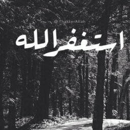 AlatibiYazyd's tweet photo. @M201541aa https://t.co/ShyHNJQFlF