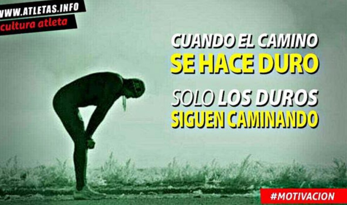 Mario Uribe (@elprofedelgym) on Twitter photo 