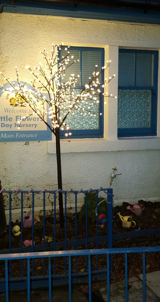 LittleFlowersNu's tweet photo. It's beginning to look a lot like Christmas #festive #Christmas 🎄🎁🎋🎍⛄🎅 https://t.co/HqmsE3mCsS